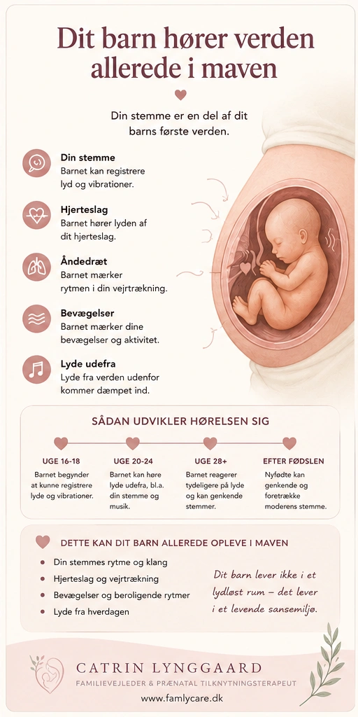 Infografik om hvad dit barn kan høre i maven – stemmer, hjerteslag og lyde udefra